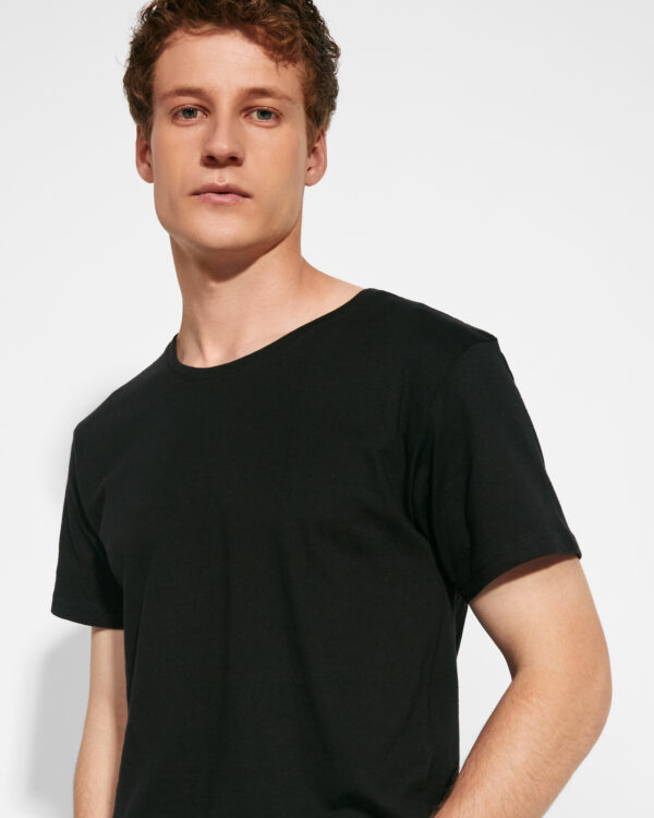 COLLIE - Imagen 3